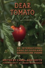 Dear Tomato cover
